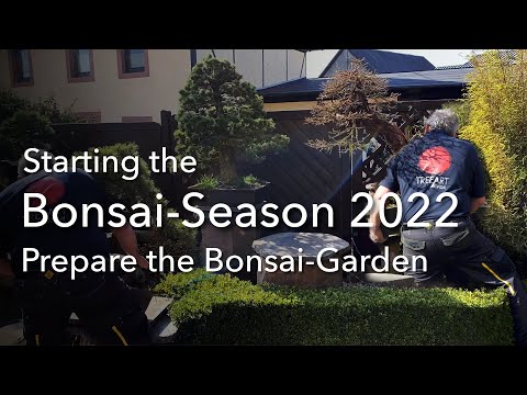 How to prepare the Bonsai-Garden for the Summer-Season 2022 - Look what you have to do!