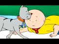 Caillou S Funny Cat Caillou Cartoon