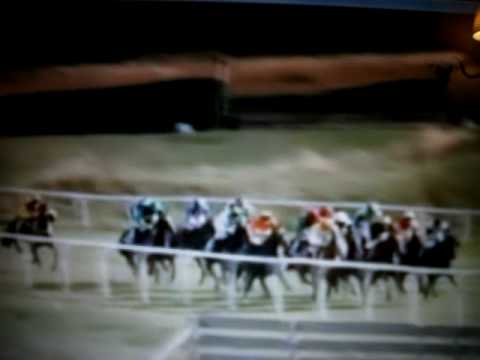 Galopprennbahn Bad Harzburg Superhandicap