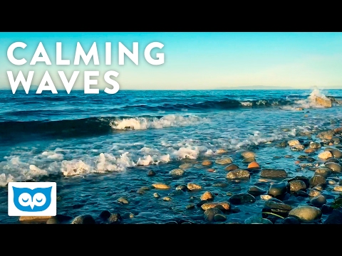 Calming Wave Sounds - 2 Hours Relaxing Waves Gently Crashing on a Rocky Shore  - Nature Sounds
