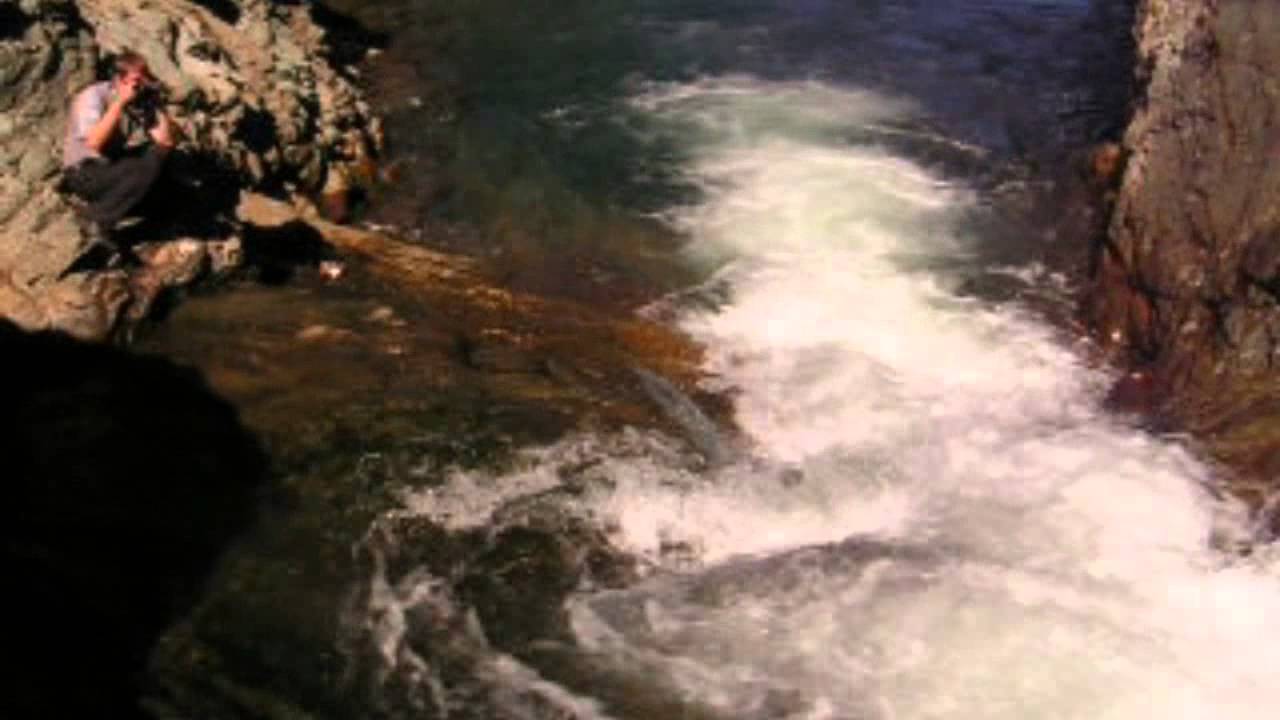 Полезное видео