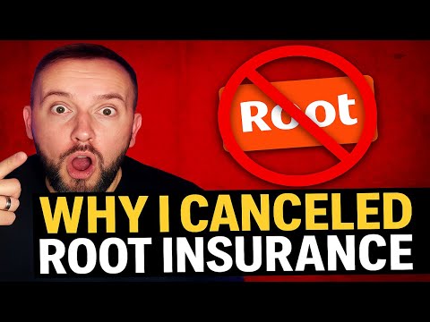Root Insurance Windshield Replacement