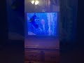 Finding Nemo 2003 Jellyfish Forest VHS Capture