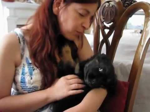 KAZSHELTER  Rosemarie & Fotini  MVI_7626.avi