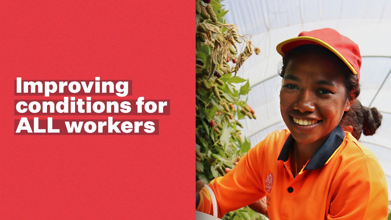Pacific Labour Mobility Initiative