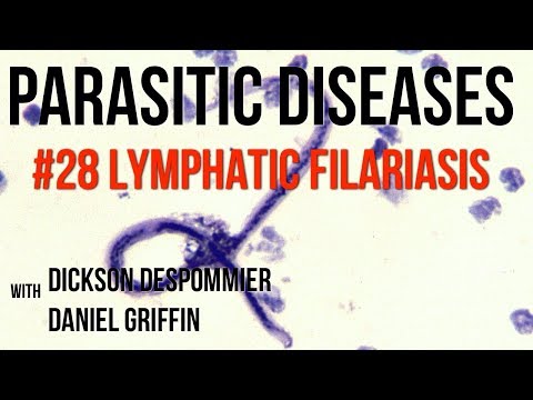 Parasites Without Borders, Parasitic Diseases Lectures #28: Lymphatic filariasis