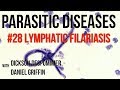 Parasitic Diseases Lectures #28: Lymphatic Filariasis