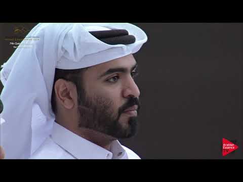 N.262 D NASEEM - 2019 Qatar Individuals - Stallions 4 to 6 Years Old (Class 10A) .mp4