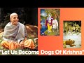 Let Us Become Dogs Of Krishna Srila Prabhupada S Lecture On 14th April 1975 In Hyderabad India