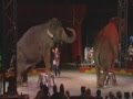 Circus