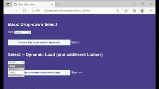 HTML CSS JavaScript Demo: Select Option