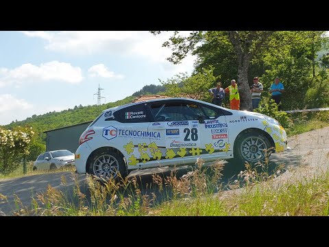 26° Rally del Taro 2019 - IRC Show and Mistake