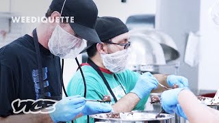 The Future of Weed Snacks: WEEDIQUETTE - Marijuana Migrants (Excerpt)