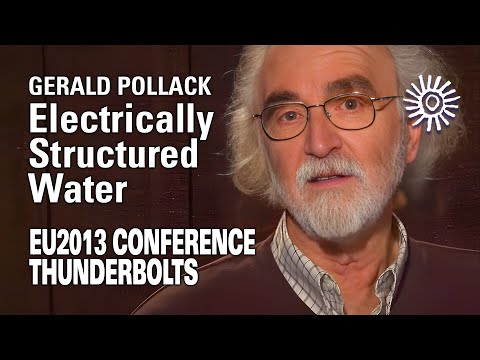Gerald Pollack: Electrically Structured Water | EU2013