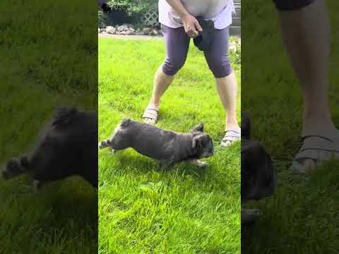 Video 2