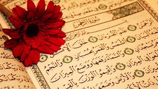 Soothing Voice - Surah Ar Rahman