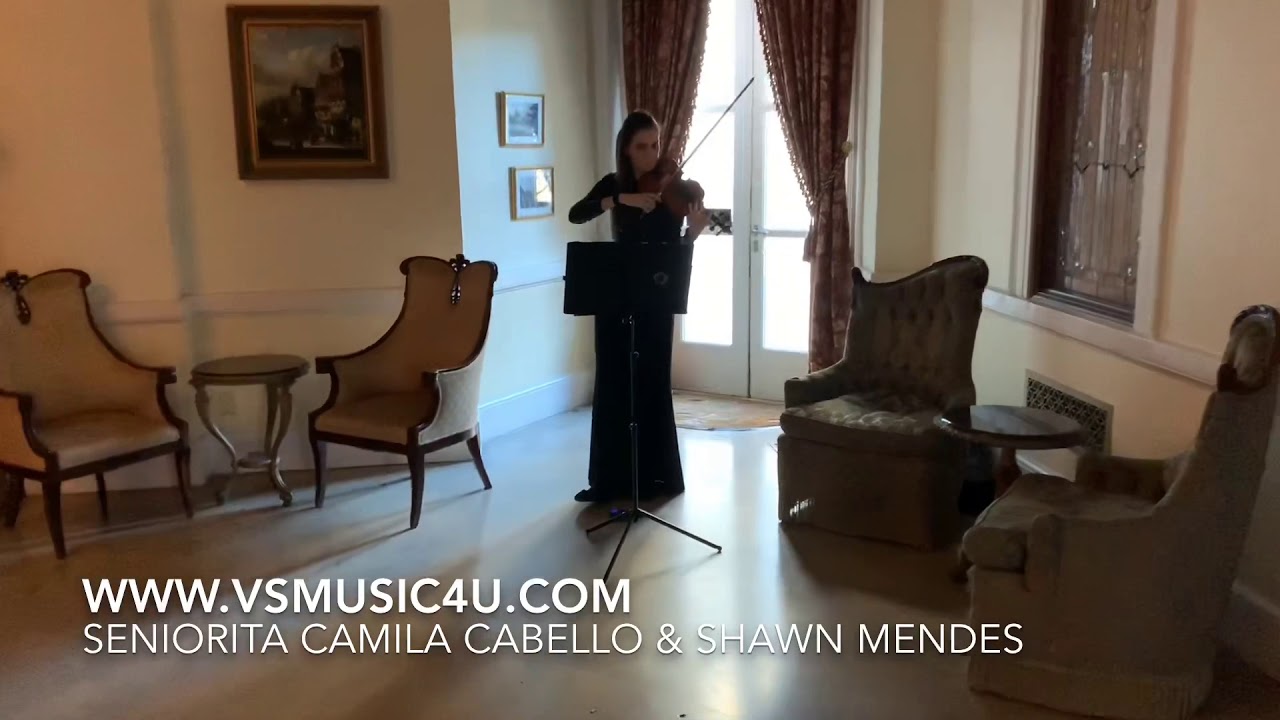 Promotional video thumbnail 39 for VSmusic4u Wedding & Event Musicians