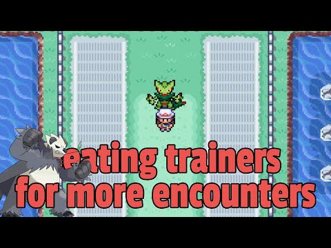 Guaranteed 0 DEATHS Safari Brendan AND Morty... Radical Red 3.0 Hardcore Mode Nuzlocke Strategies!