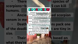 Download lagu Scorpions Are Way Deadlier Than You Think π³π¦ mp3 Download lagu Scorpions Are Way Deadlier Than You Think π³π¦ mp3