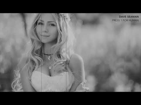 DAVE SEAMAN - PRESS 1 FOR HUMAN