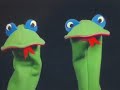 Baby Einstein Video Tutorial