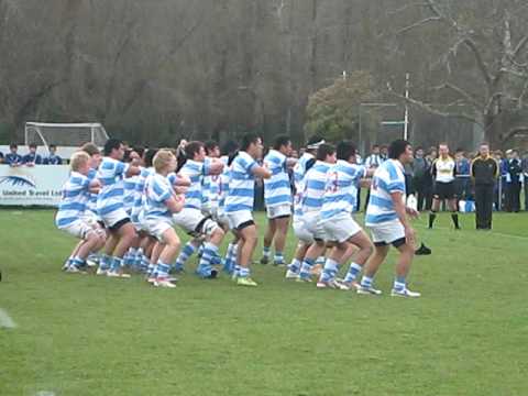 Saint patricks college wellington vs Saint Patricks college Silverstream