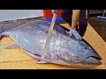 World's Sharpest Tuna Knife！Amazing Giant bluefin tuna cutting Master / 驚人的！巨大黑鮪魚切割技巧, 黑