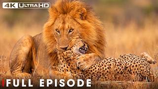African Savannah | Deadliest Fight for Survival | FULL EPISODE | Nature Animal Documentary