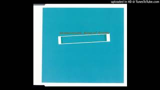 KING OF SNAKE (FATBOY SLIM REMIX) / UNDERWORLD