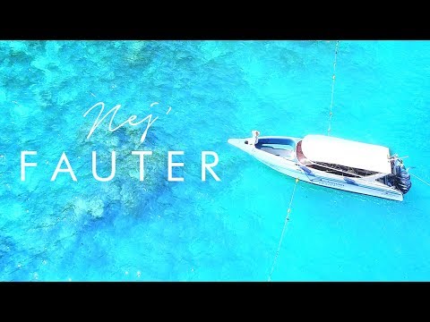 NEJ' - Fauter (Clip Officiel)