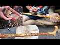 Simple Walking Stick Hand Carving