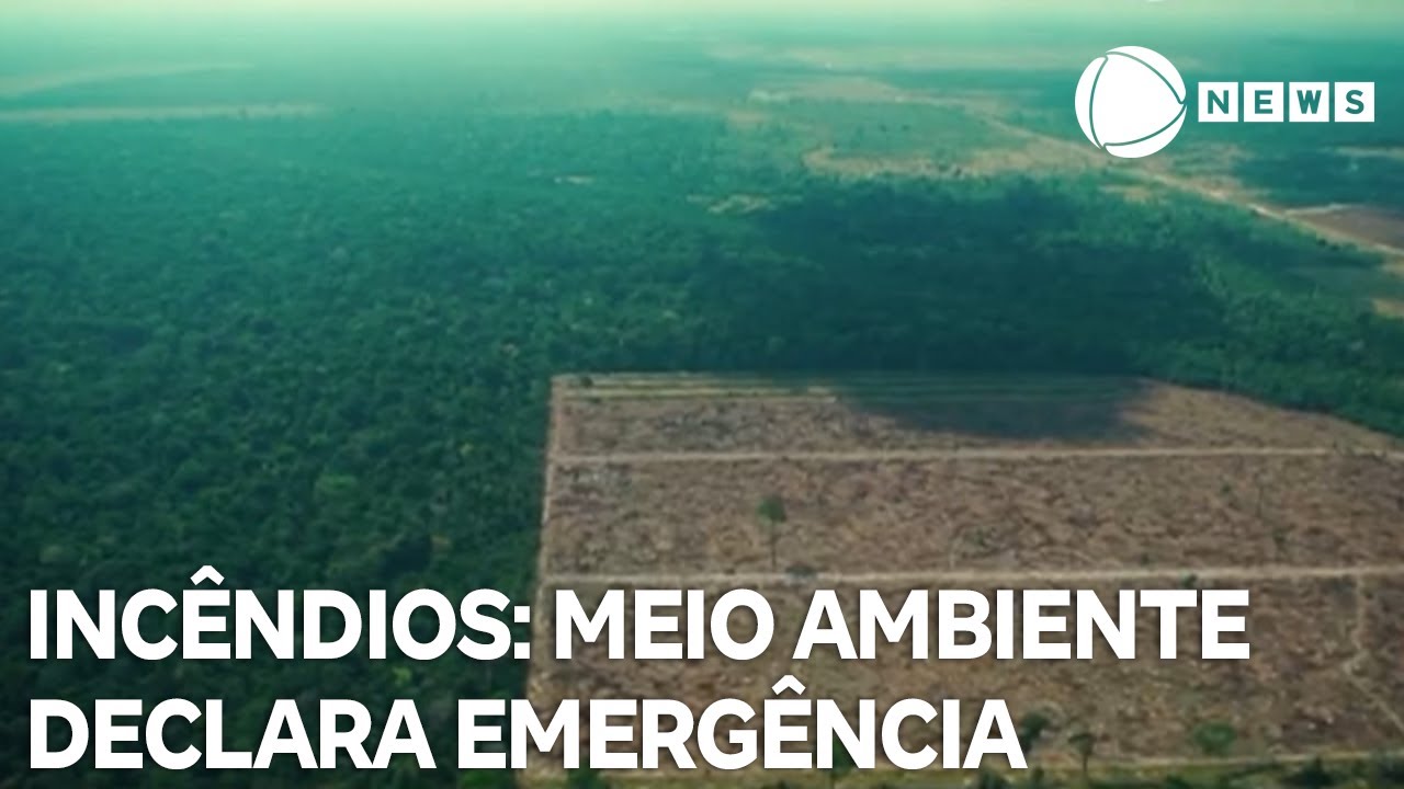 Conexão Verde: Meio Ministério do Ambiente declara situação de emergência para incêndios florestais