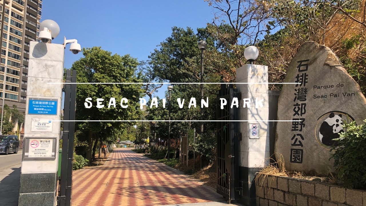 Meet the giant pandas at Seac Pai Van Park, Macau