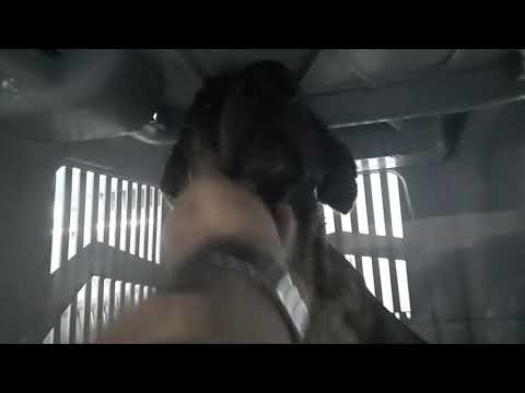 Saying goodbye to Elahe ❤👋 airport آخرین لحظات با الهه خانوم