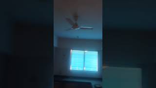 2 BHK Flat for Rent in GIDC Umbergaon, Valsad