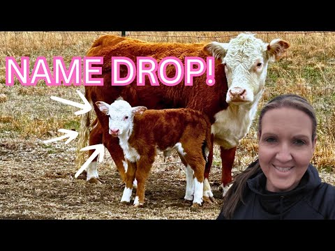 Right Away, I Just Knew