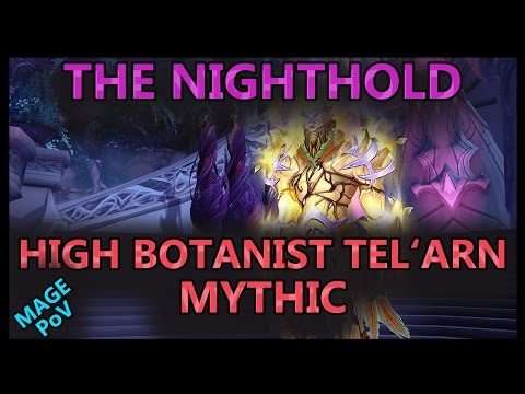 idea of glory vs. High Botanist Tel'arn Mythic - The Nighthold // Mage PoV