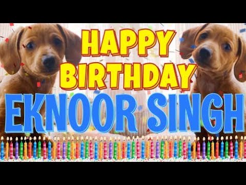 Happy Birthday Eknoor Singh! ( Funny Talking Dogs ) What Is Free On My Birthday
