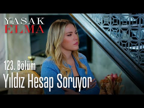 yildiz hesap soruyor yasak elma 123 bolum turkuaz gazetesi istanbul haber