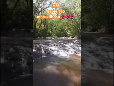 Rio Adelaide Catanduvas, Paraná #80smusic #rock #love #shortsvideo #cachorro #meioambiente #plantas