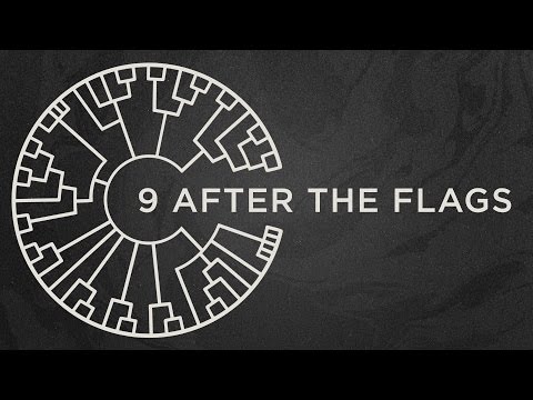 Area 11 - After The Flags [Official Lyric Video]