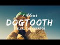 1 Hour Tyler The Creator DOGTOOTH Lyrics Letra