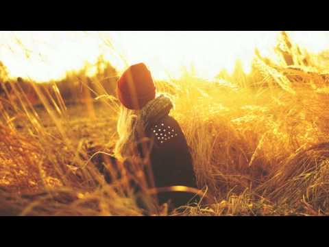 AK x LYNX ft. Veela - Virtual Paradise