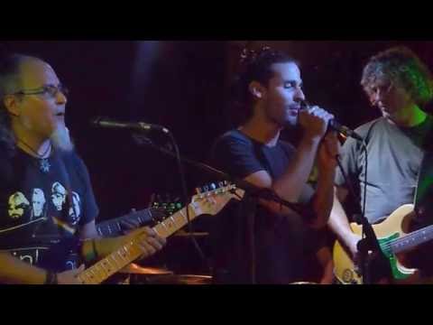 Anima Mundi & The Foolz - Comfortably Numb (live @ Bluescafé Apeldoorn 10.07.2016) 4/4