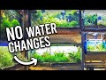 Aquarium Co Op No Water Changes