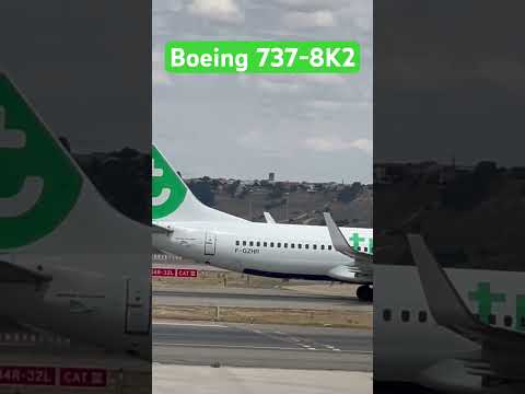 Transavia B737-800 @ MAD #avgeeks #aviation #plane #transavia