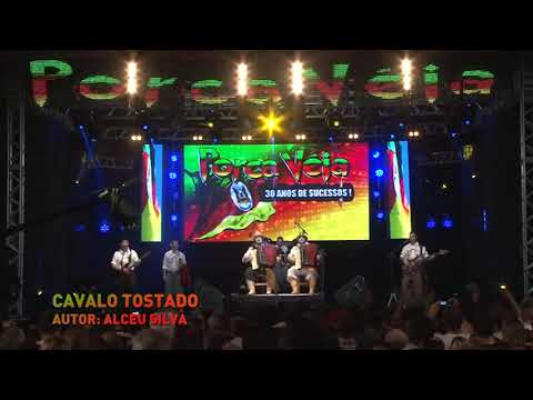 Porca véia cavalo tostado