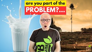Which Plant Milk Is Killing Forests? (And Which Should You Be Drinking)