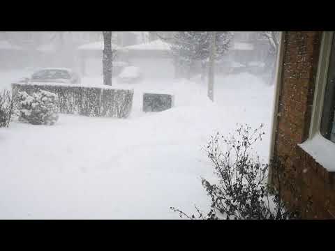 Snowstorm in Mississauga Canada
