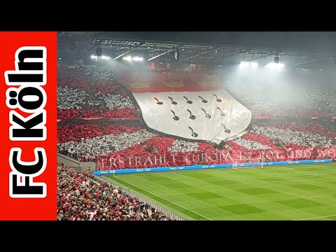 ⚽ Atmosphere 1.FC Köln VS Partizan Beograd (0-1) | Europe Conference League 22/23
